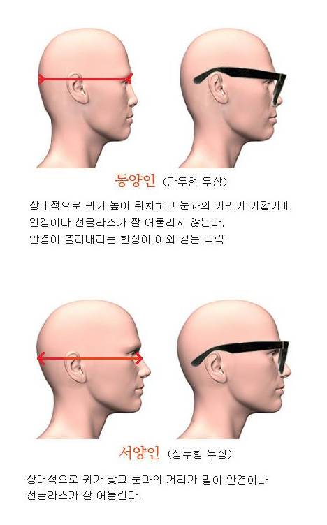 동양인 서양인 외모 입체감 차이.jpg