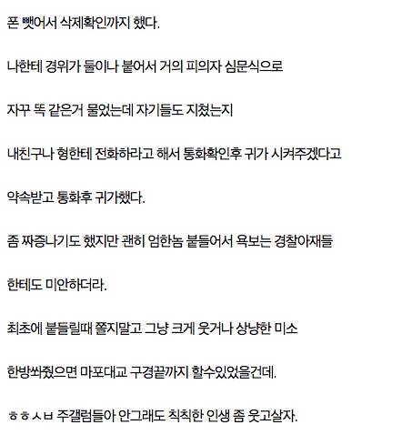 마포대교 갔다가 경찰한테 붙들려서 3시간 잡혀있었던 주갤러