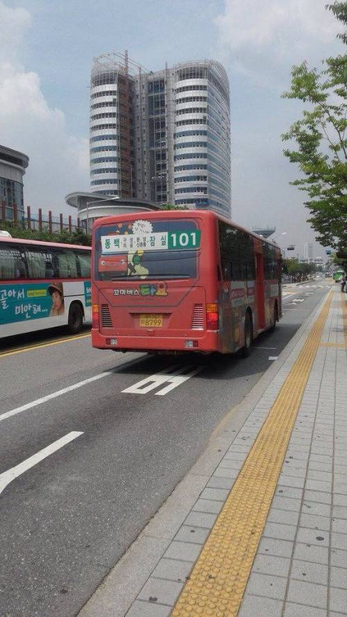 아이들 동심 깨주는 타요.jpg