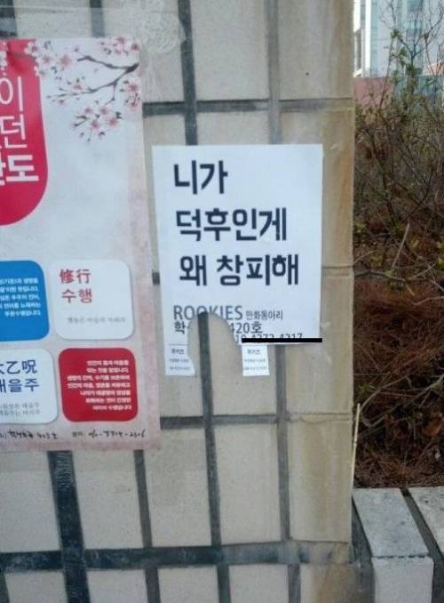 강릉대 만화동아리 모집 포스터