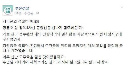 개피곤의 적절한 예.JPG