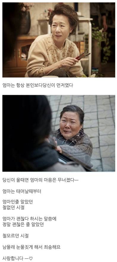 엄마가 당신에게 하지 않은 이야기