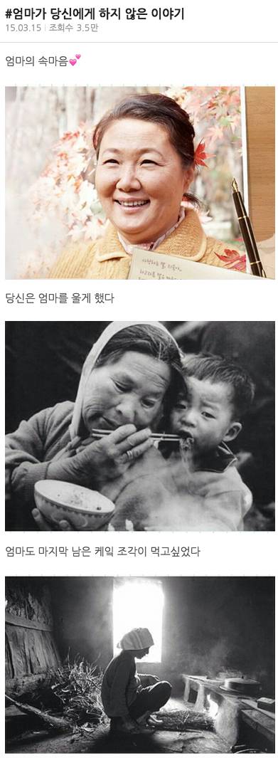 엄마가 당신에게 하지 않은 이야기