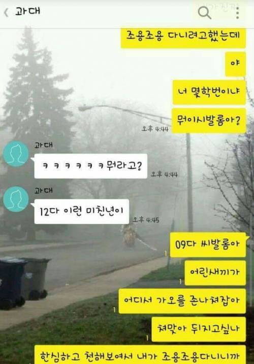 잘가라 과대.kakao