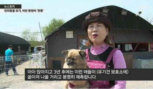 삼시세끼 산체 열풍이 반갑지 않은 이유