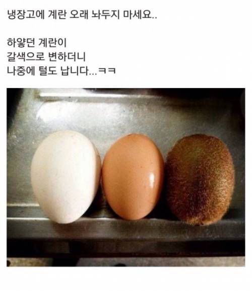 계란을 냉장고에 오래 놔두지 마세요