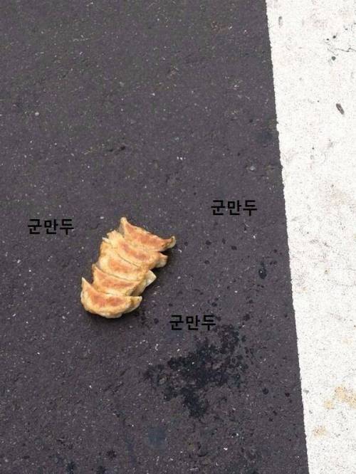 태풍이 가져다준 선물.jpg