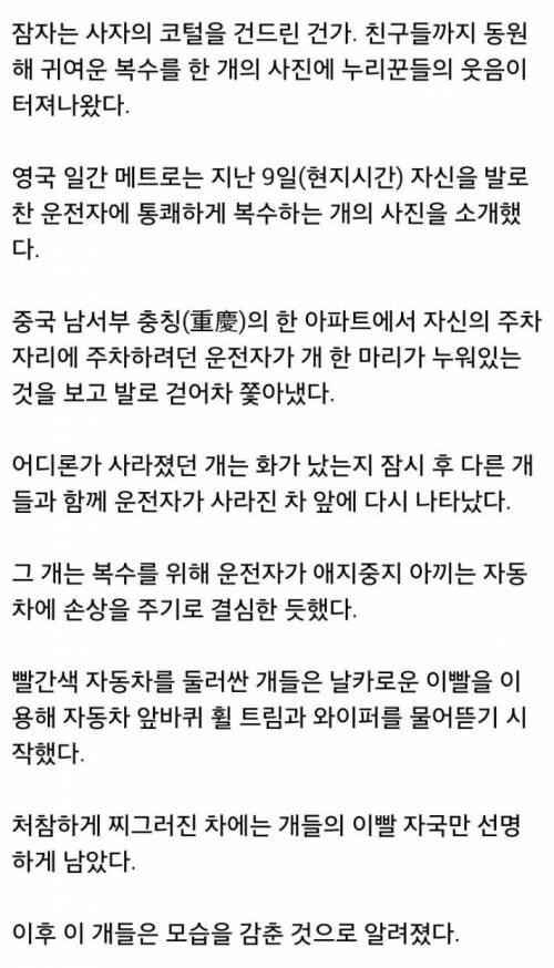 잠자는개 건들면.jpg