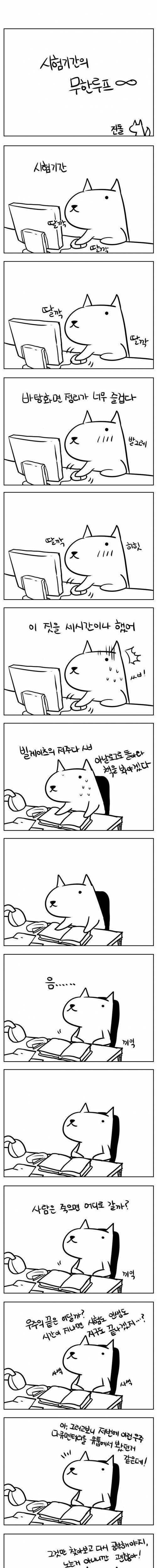 시험기간 무한루프.jpg