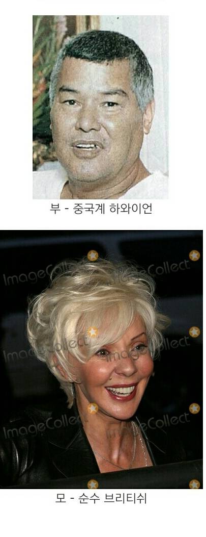 연금술 대성공의 예.jpg