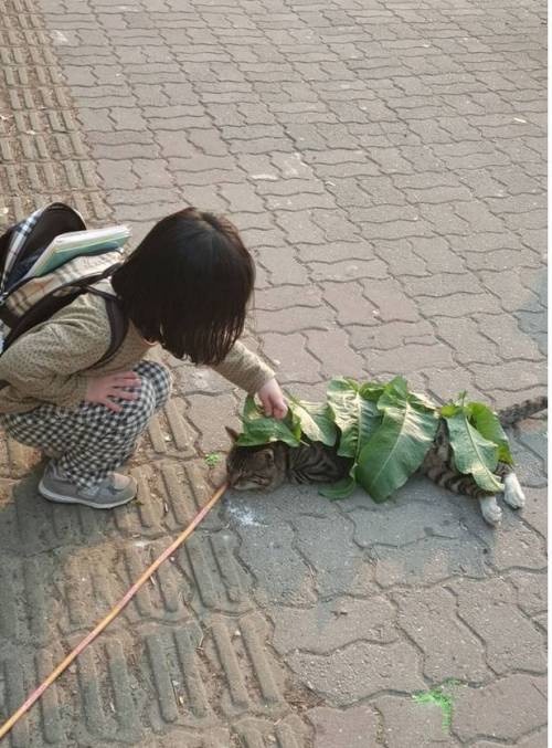 어린이의 순수함.jpg