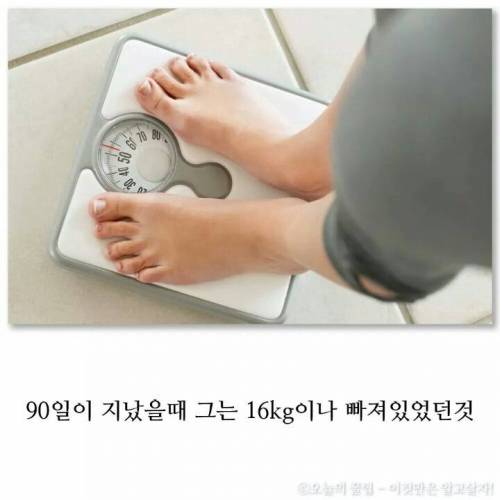 맥도날드 홍보대사가 된 이유.jpg