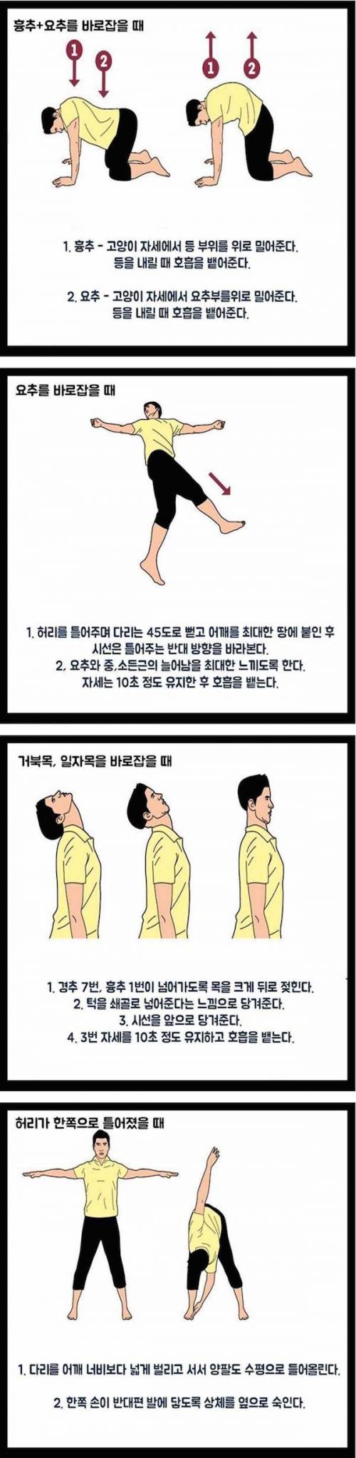 척주 교정 스트레칭을 해봅시다