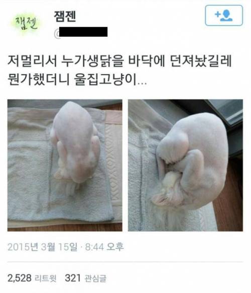 뜻밖의 생닭.jpg