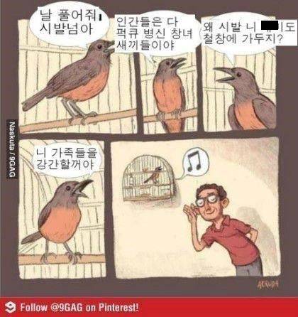 [욕주의]새들이 우는 소리.jpg