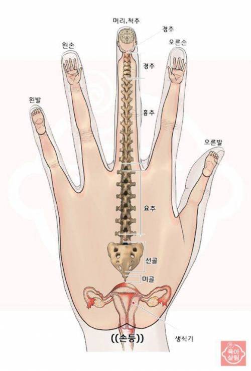 피곤할 때 하면 좋은 손 마사지