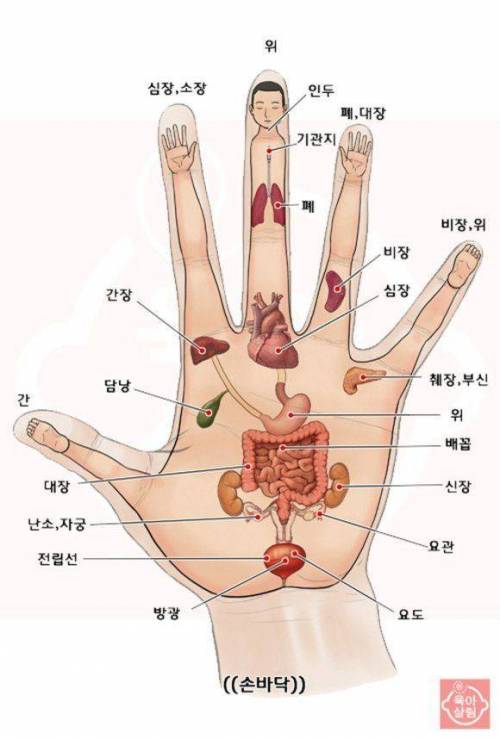 피곤할 때 하면 좋은 손 마사지