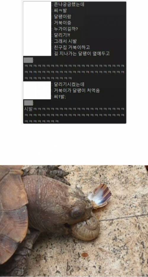 거북이와 달팽이가 경주하면 누가이길까?