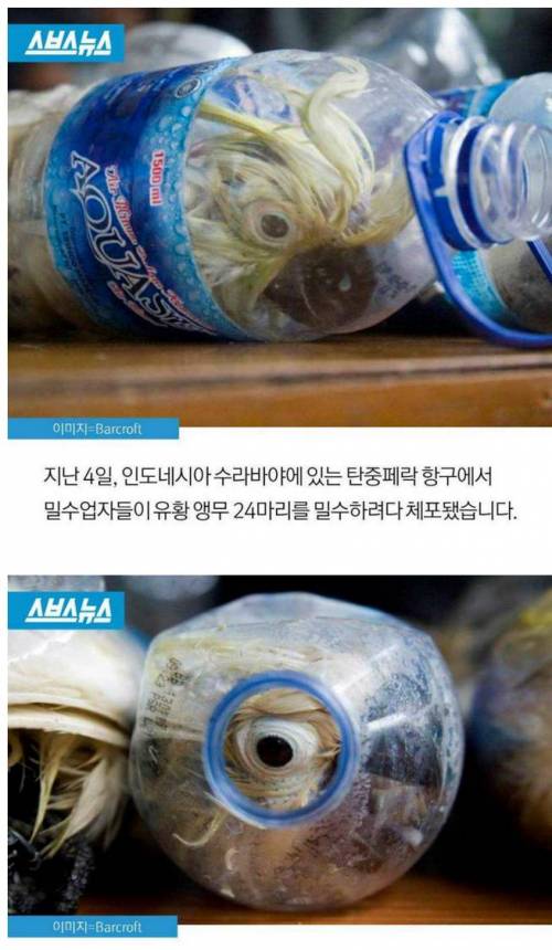 세상에서 제일 잔인한것!