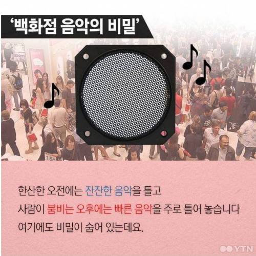 마케팅 전략의 결정체