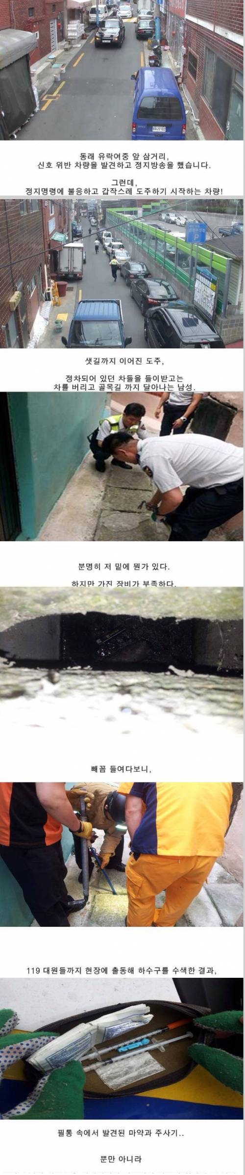 감자 캐다 산삼 건짐.jpg