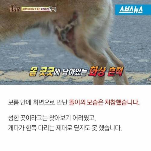 똘이야 밥먹자.jpg