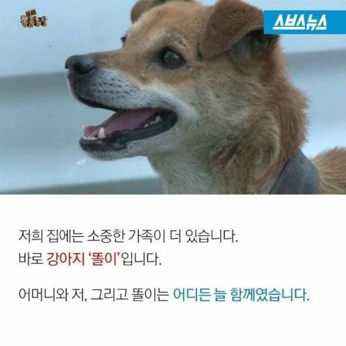 똘이야 밥먹자.jpg