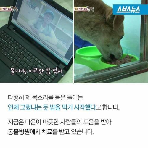 똘이야 밥먹자.jpg