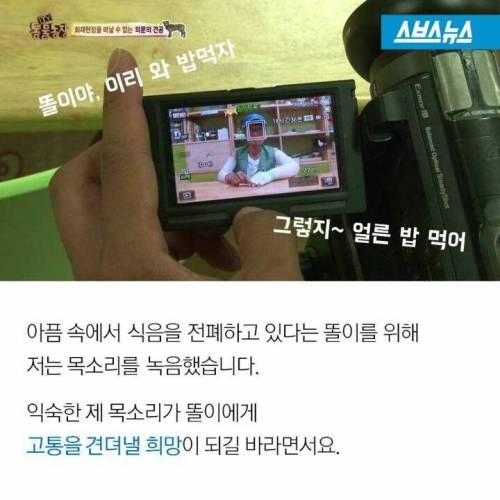 똘이야 밥먹자.jpg