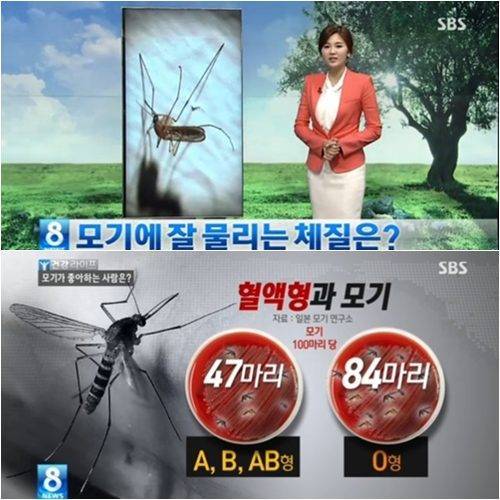 모기 잘 물리는 혈액형.jpg