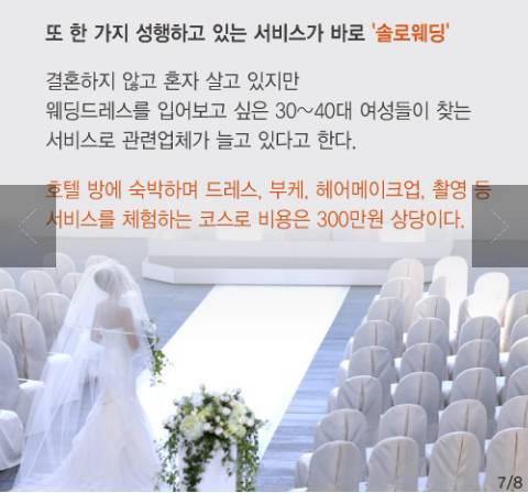 웨딩드레스를 입고 싶다면 솔로웨딩.jpg