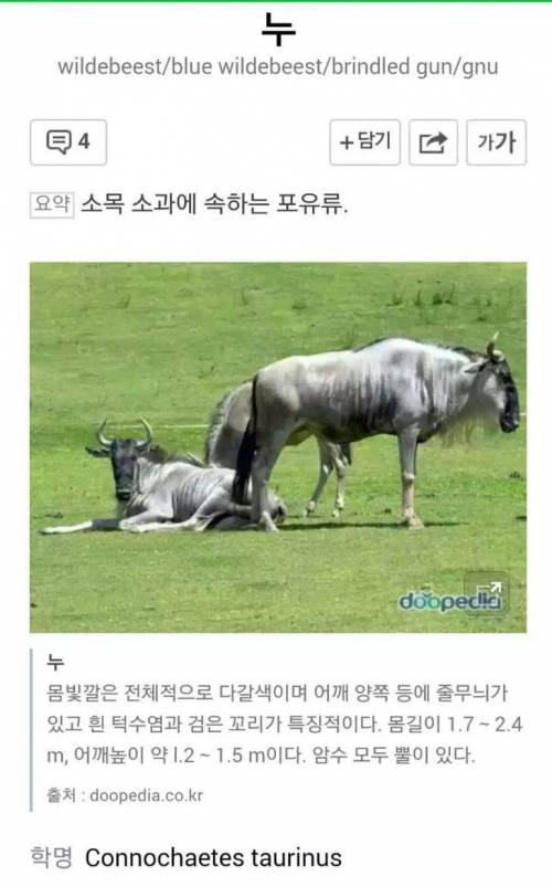 약19) 아무것도 안 입고 물에 뛰어드는 누님들.jpg