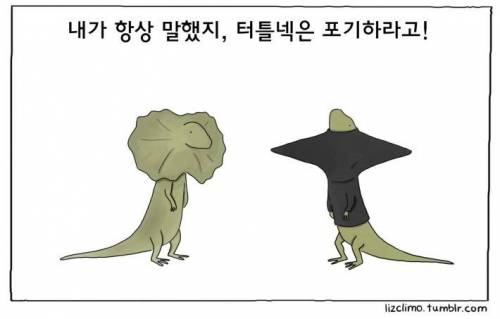 귀여운 동물 만화들