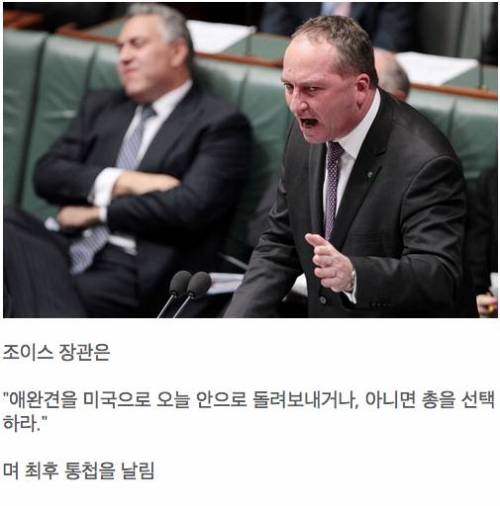 호주에서 난리난 조니뎁의 애완견 사건.jpg