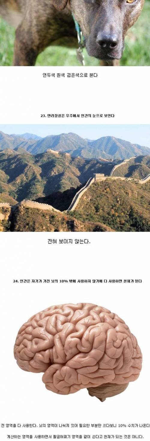 많은 사람들이 잘못 알고 있는 사실