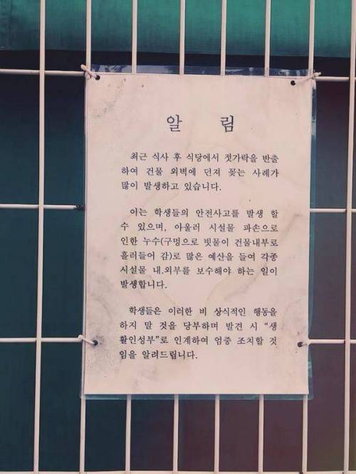 닌자 학교......jpg