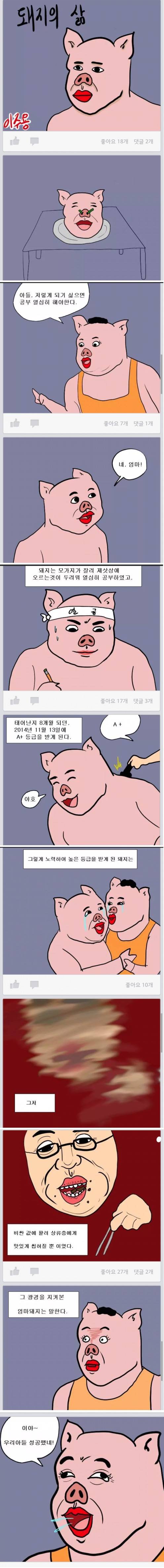 돼지의 삶.jpg