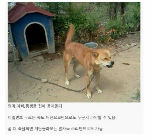 집에박혀사는사람들의 능력