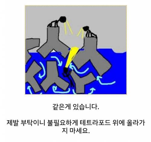 방파제가 위험한 이유.jpg