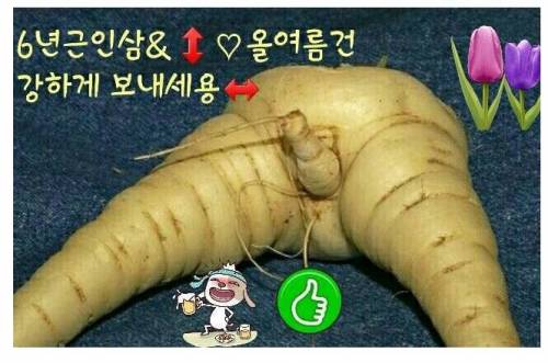 장모님에게 처음 받은 카톡