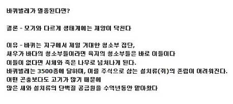 [약혐] 모기와 바퀴벌레가 멸종되면 세상은 어떻게 될까?