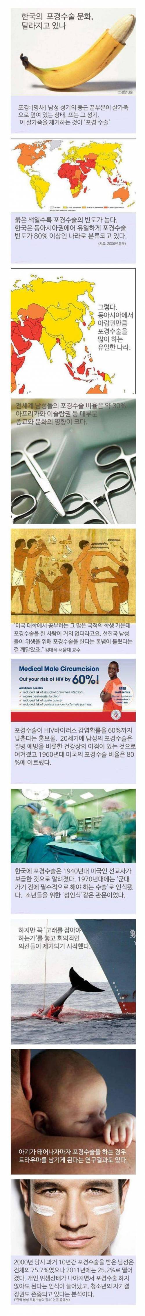 한국의 포경수술 문화