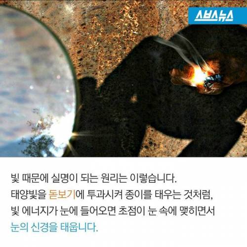 카메라 플래시 때문에 실명?.jpg