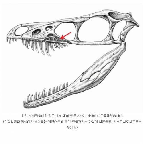 공룡 복원도를 믿기 힘든 이유