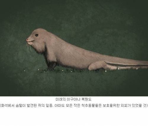 공룡 복원도를 믿기 힘든 이유