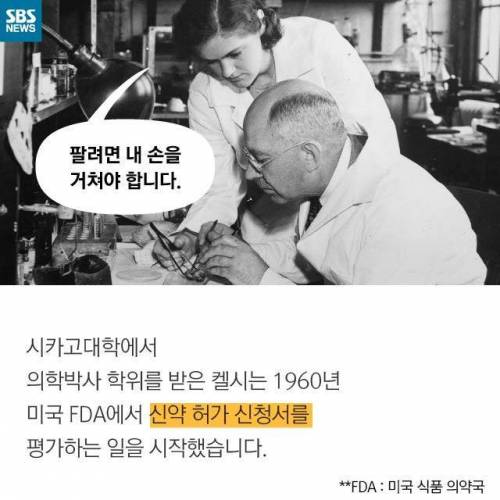 위대한 신입.jpg