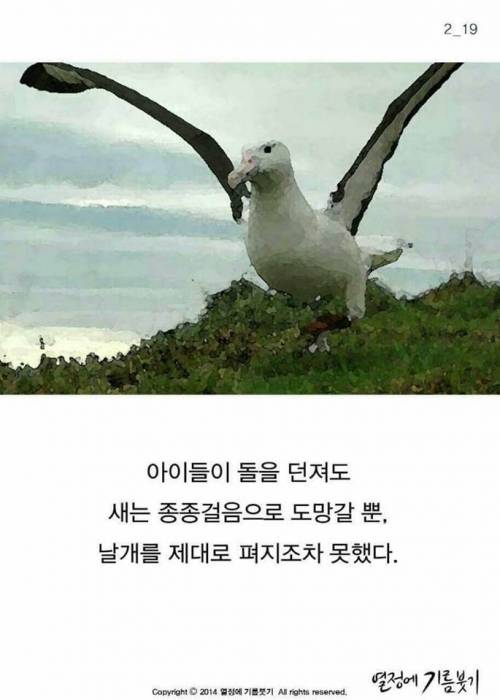 알바트로스.jpg