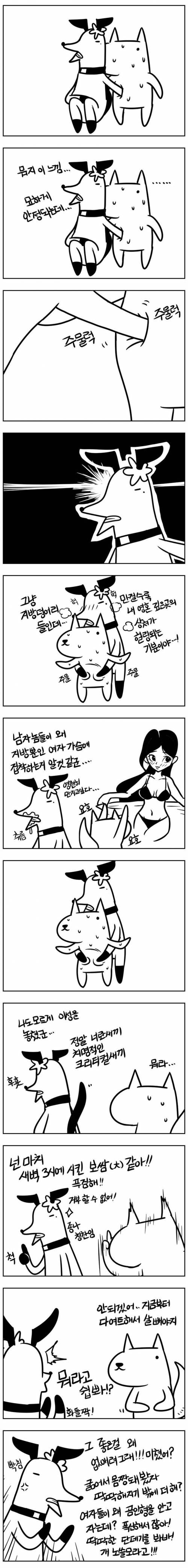 영웅이 되는 만화.jpg