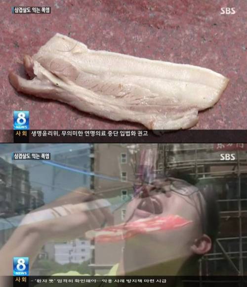 대륙의 무더위위 스케일.jpg