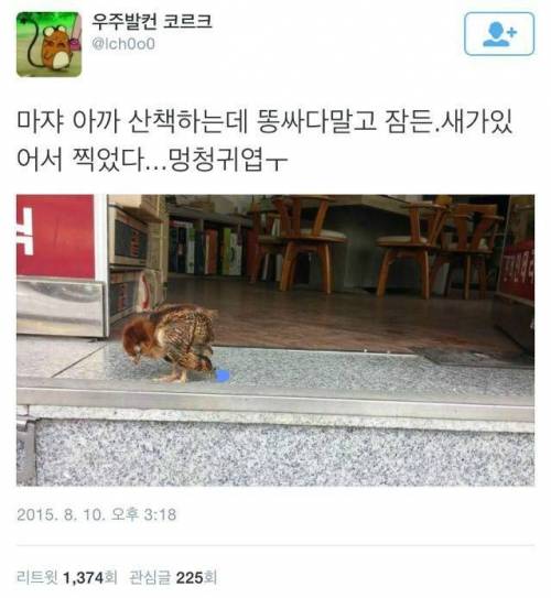 똥싸다 잠든 새..jpg